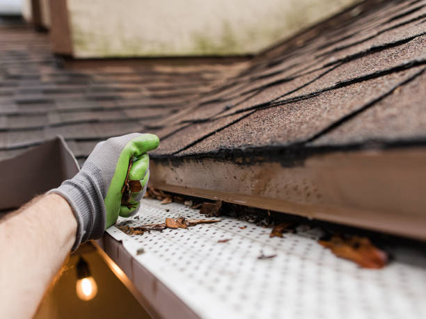 Gutter Cleaning to Prevent Roof Damage